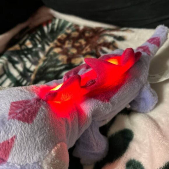 Works! Walk and Glow Plush Bruni Frozen II - Picture 2 of 4